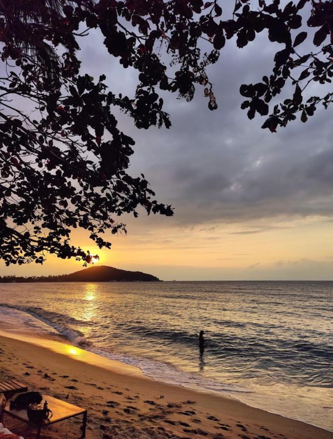 Chill Inn Lipa Noi Hostel And Beach Cafe Koh Samui Exterior foto